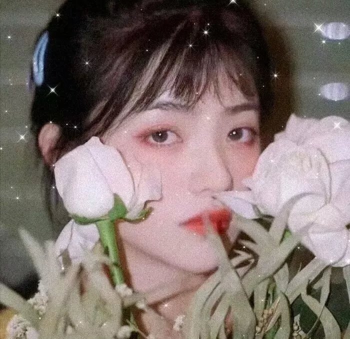 碧姬达蕙花